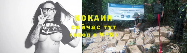 прущие крисы Алексин