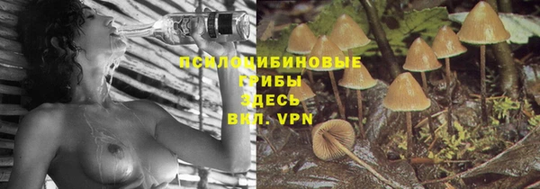 mdpv Алзамай