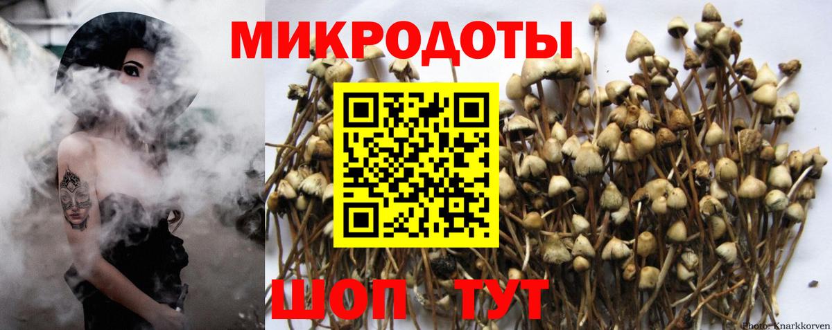 Уфа  Псилоцибиновые грибы Magic Shrooms  Галлюциногенные грибы Psilocybe  Вход с VPN 